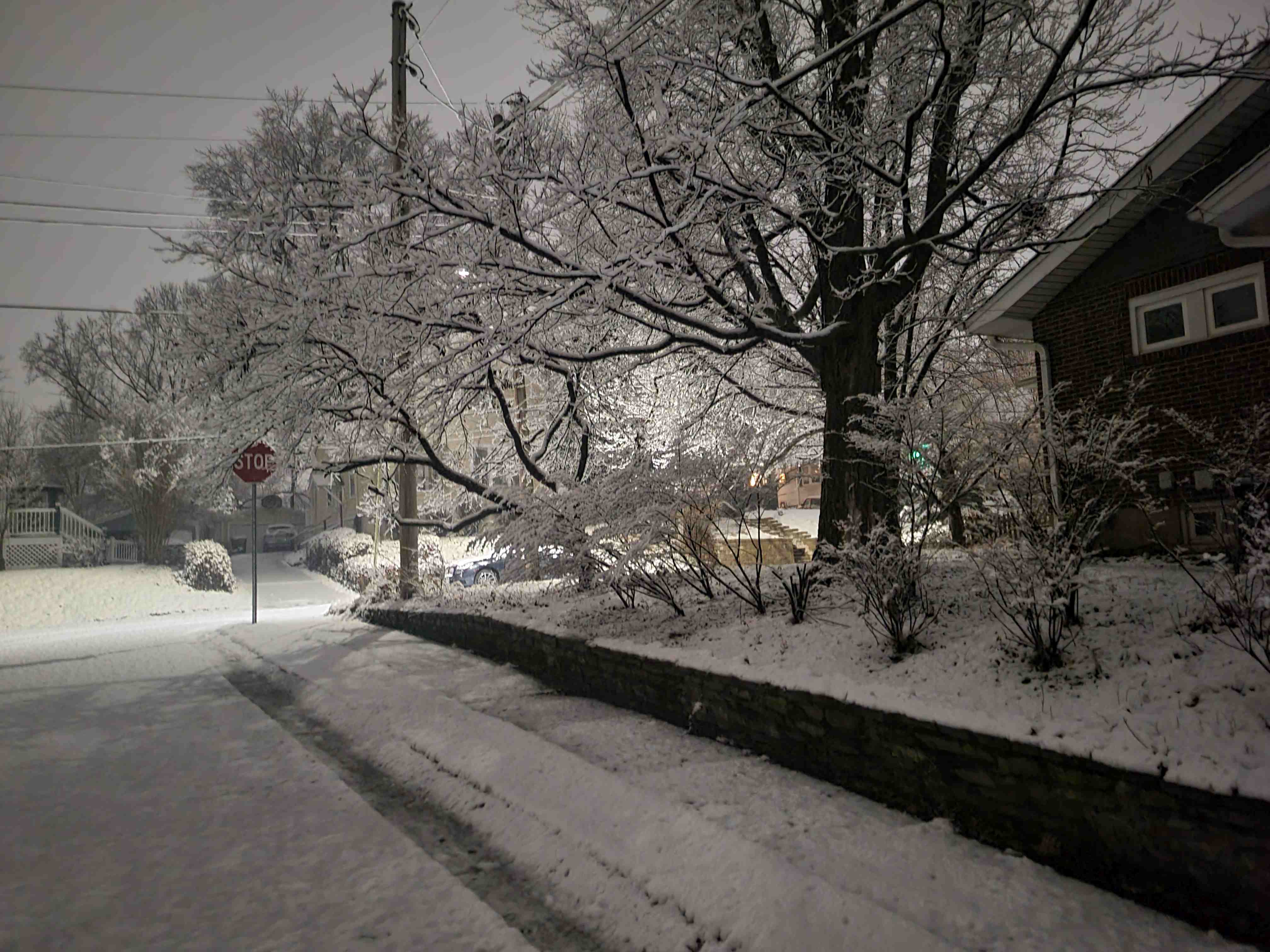 2023-01-25 Snow.jpg